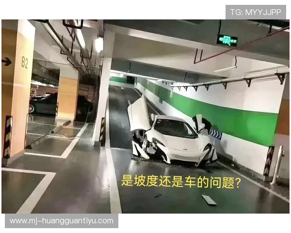 孙悦家的车库比我家还大，里面停的车我一辈子都买不起